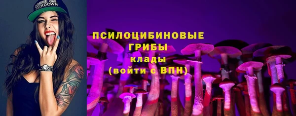 дживик Абаза