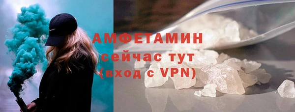 хмурый Алексин