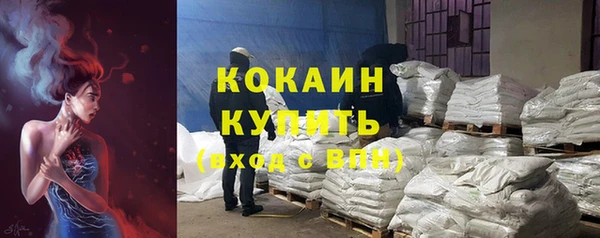 PSILOCYBIN Новодвинск