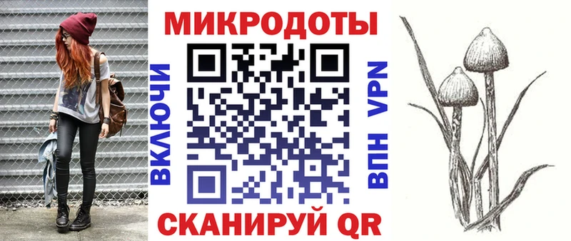 даркнет наркотические препараты  Старая Купавна  Галлюциногенные грибы Cubensis  купить закладку 